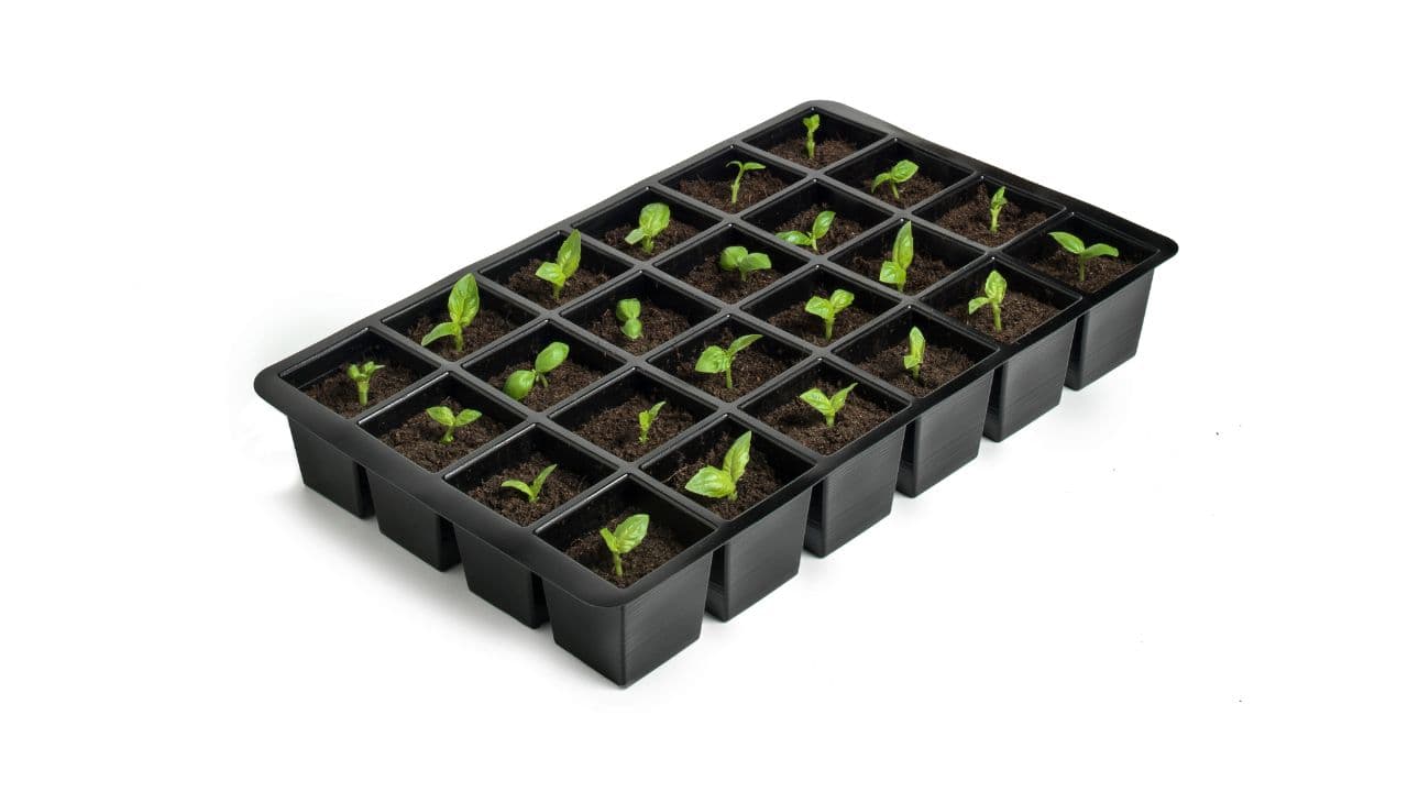 Series-A agtech startup go-to-market and team build
