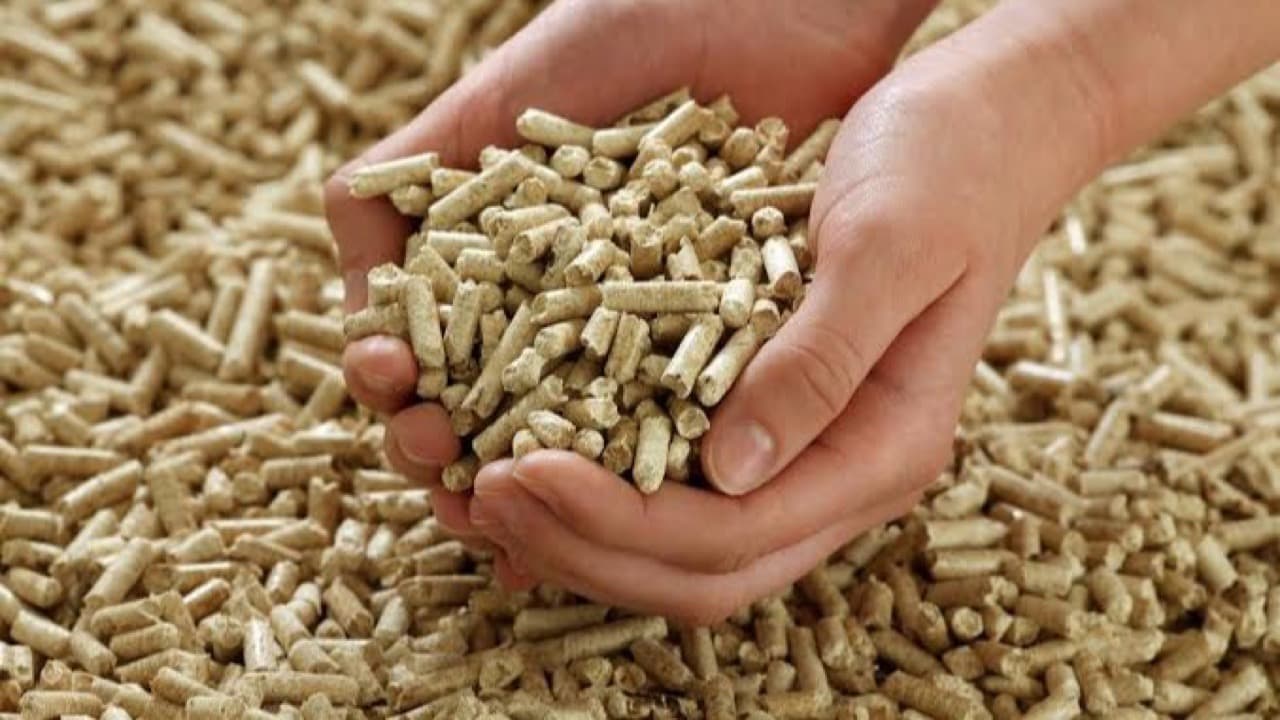 Wood biomass pellets held in cupped hands — a low-carbon-debt bioenergy feedstock