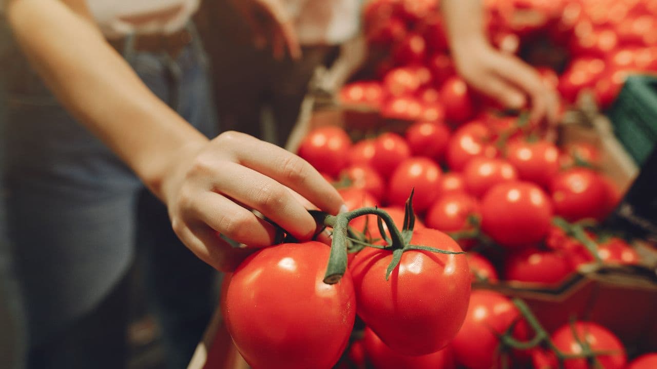 A farmer's hands holding freshly harvested vegetables at an Indian market